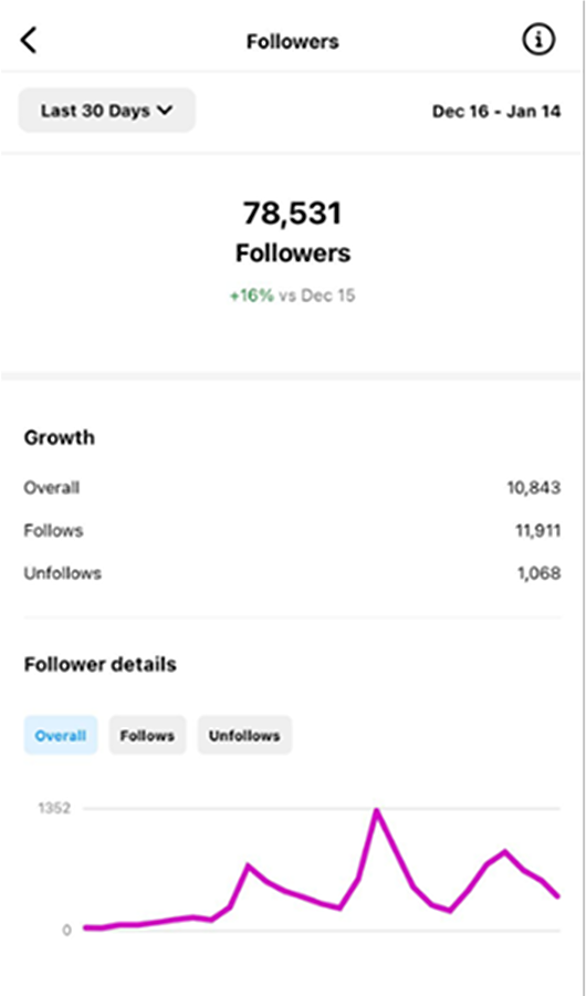 Instagram Dashboard Followers